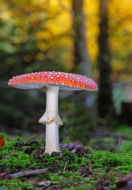 Russell Carrington tweet media