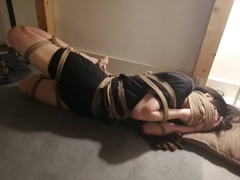 iwaoh_'s tweet photo. tartaglia in my room <3 https://t.co/pNdP2nxyYn