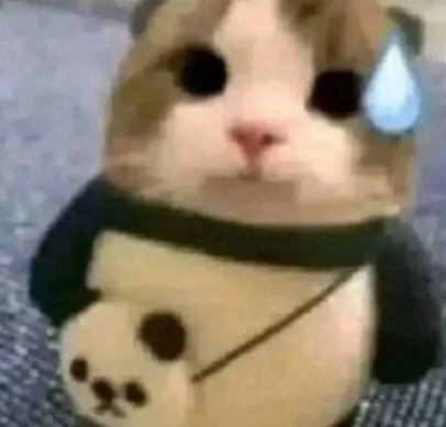 Connie's Conundrums tweet media