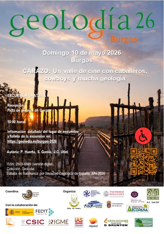 FundaciónDinosaurios tweet media