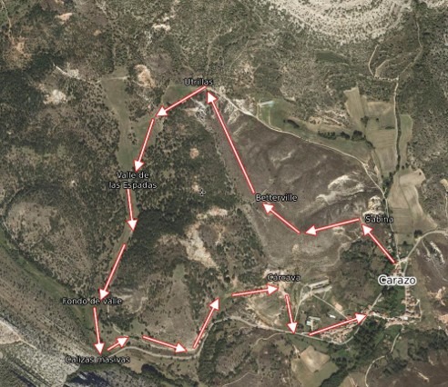 FundaciónDinosaurios tweet media