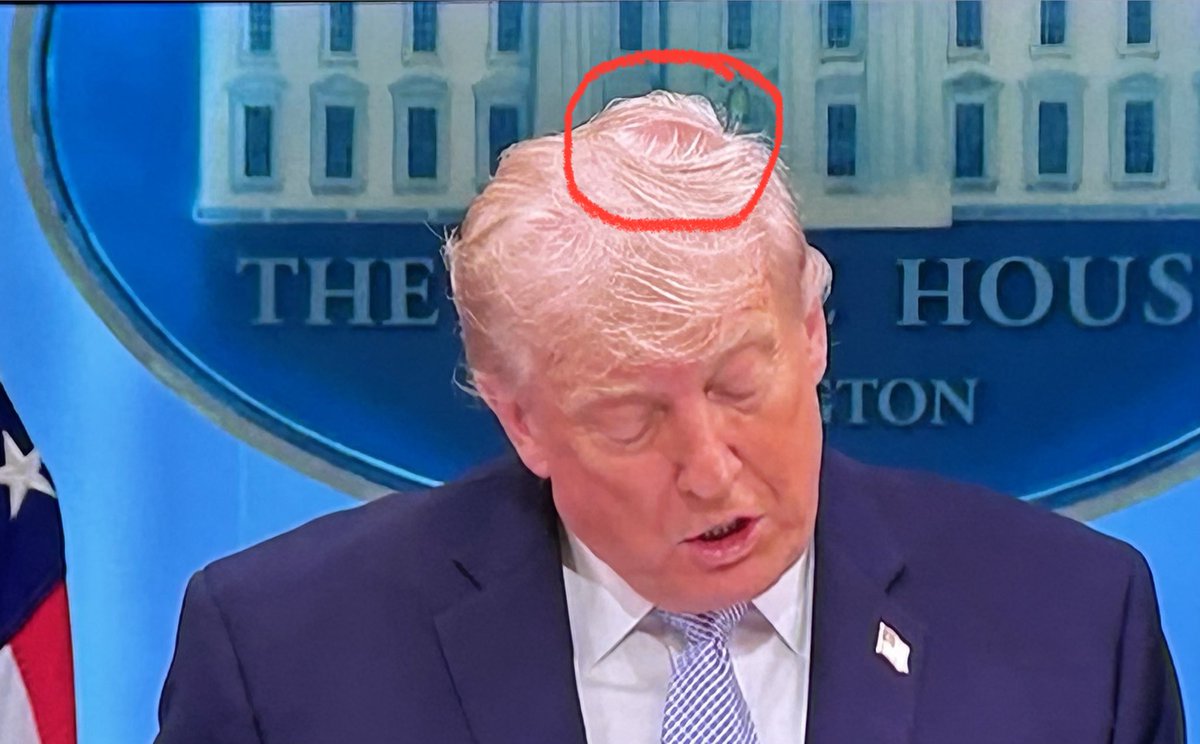 Donald J. Trumpstein fake tweet media