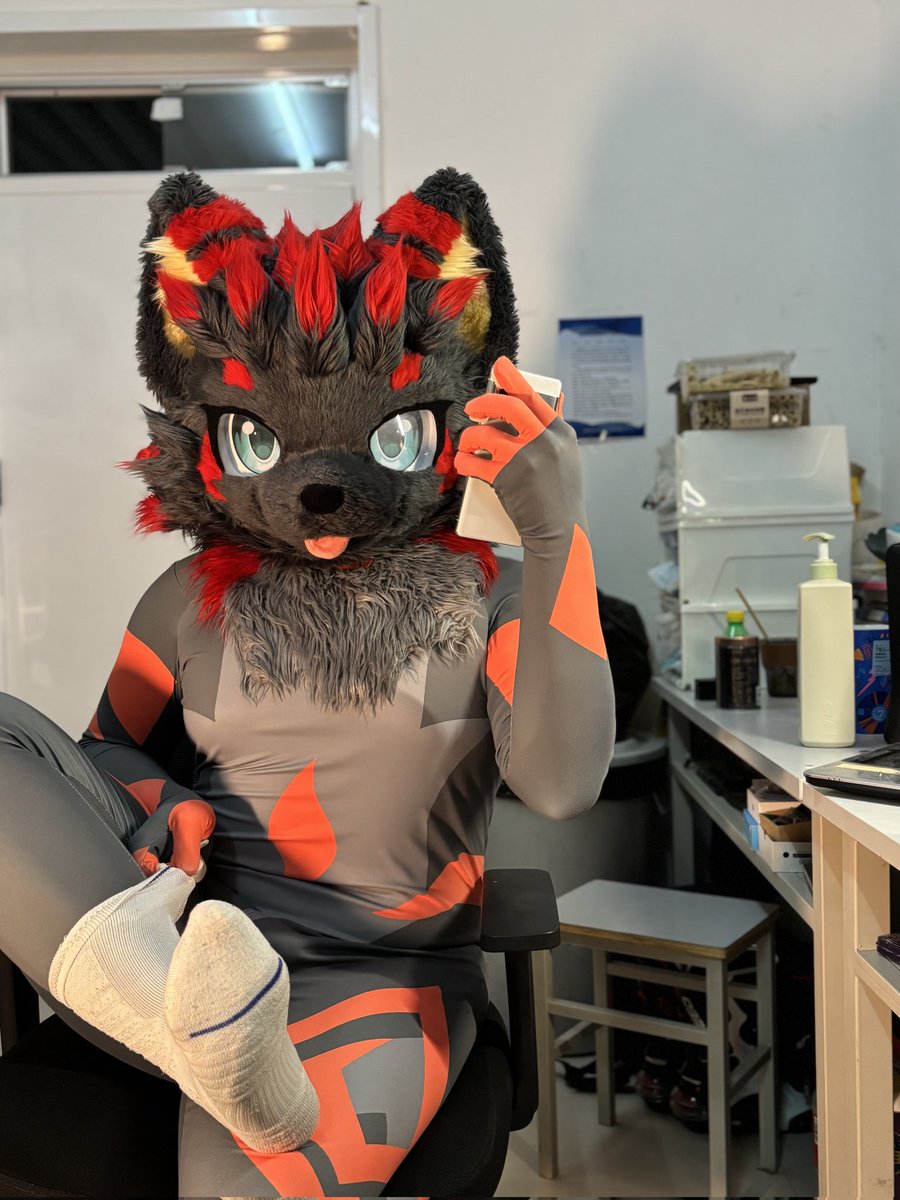 是苍离酱 tweet media