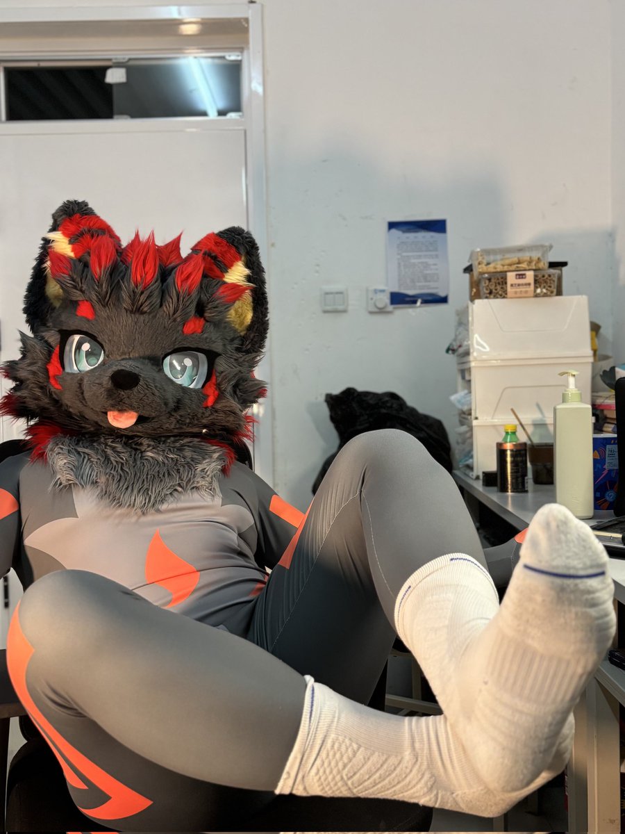 是苍离酱 tweet media