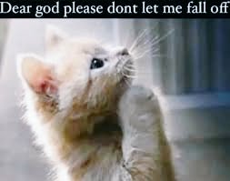 bugtenna tweet media