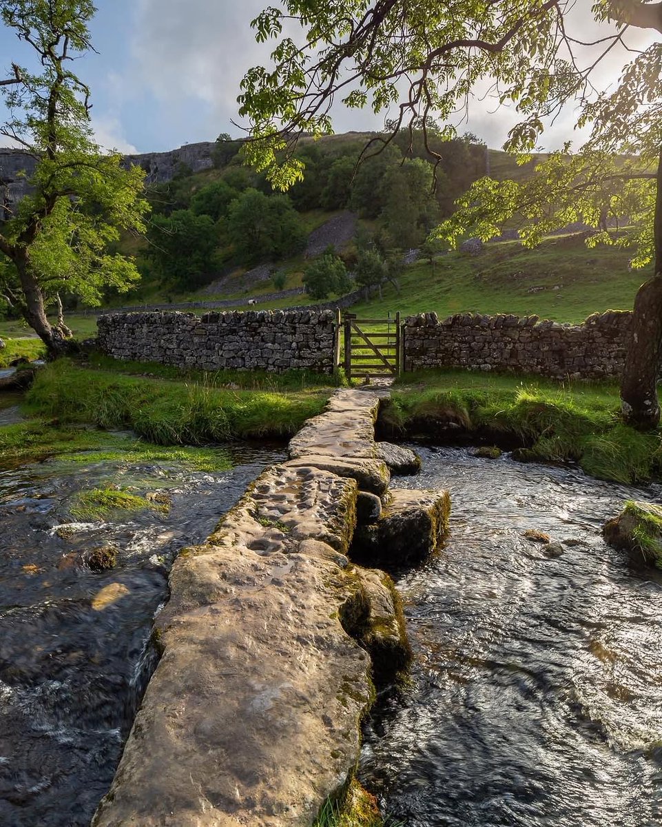 North Yorkshire tweet media