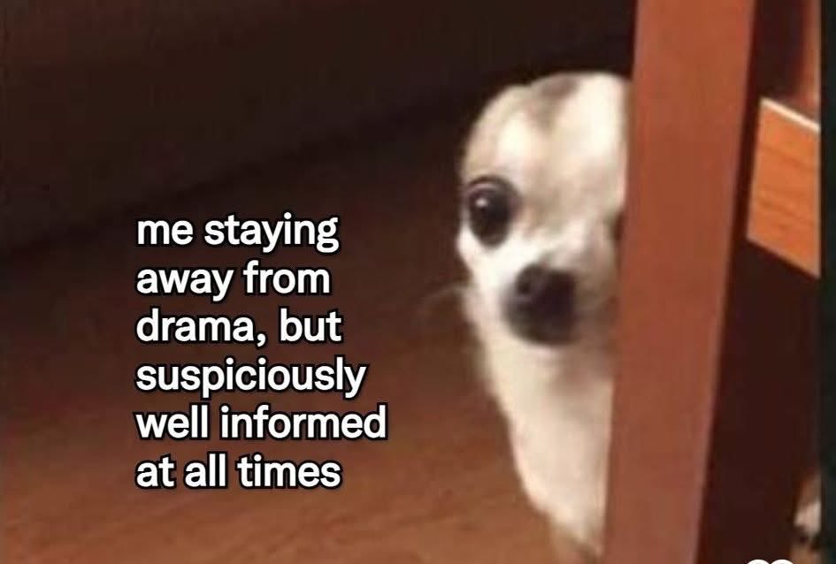 𝓓𝓪𝓯𝓯𝓸𝓭𝓲𝓵𝓼🌼 tweet media