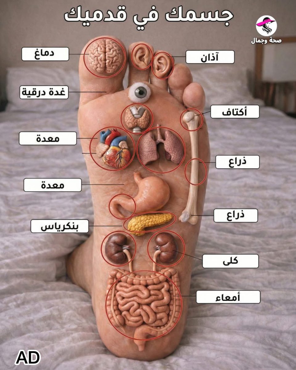 ‏طلال tweet media