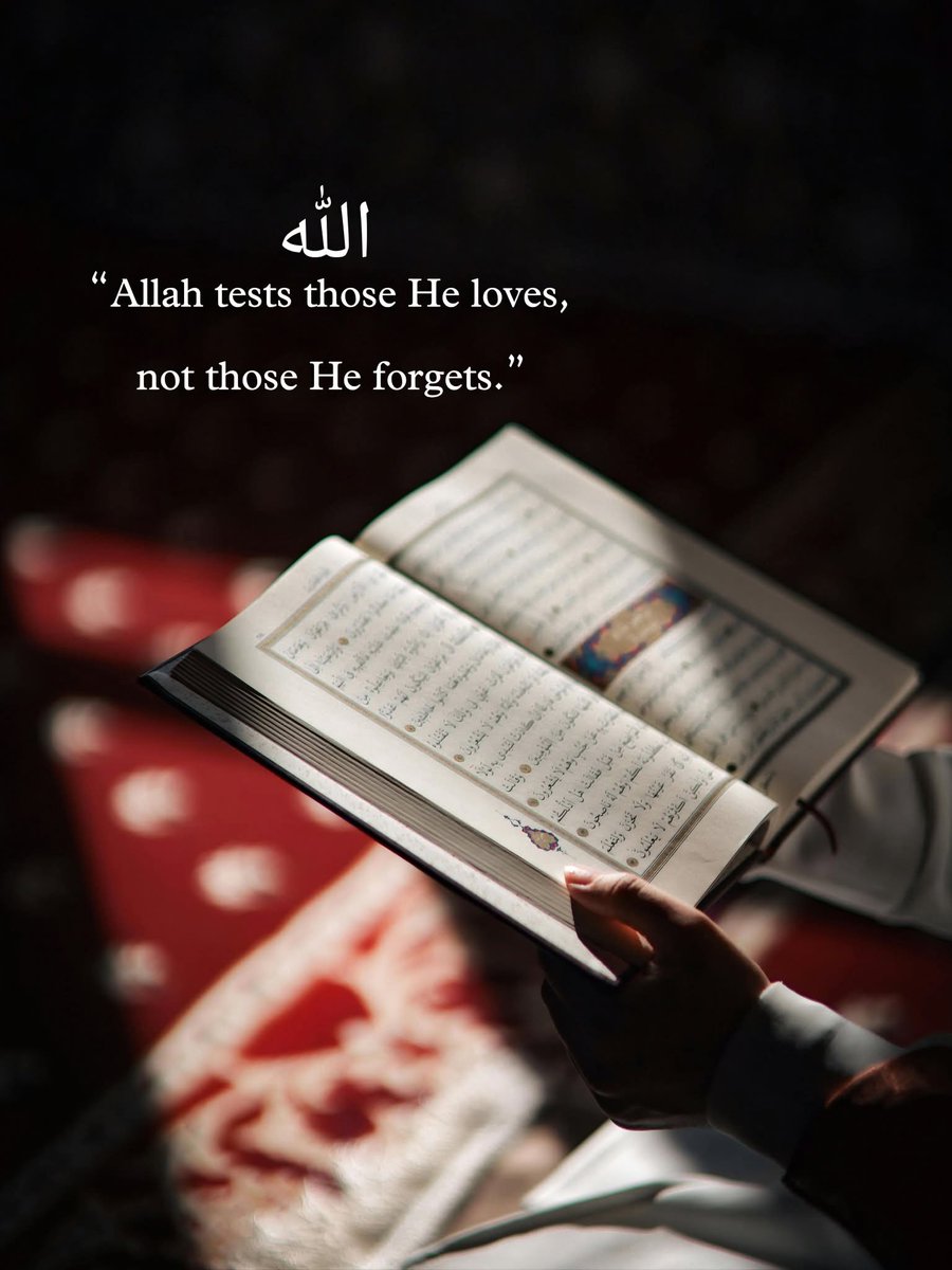 QuddusRsa's tweet photo. Allah tests those He loves,  not those He forgets.! ✨️🤲🏻 https://t.co/CcEP8OELGl