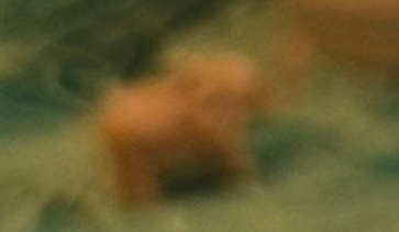 Wizards0nly tweet media