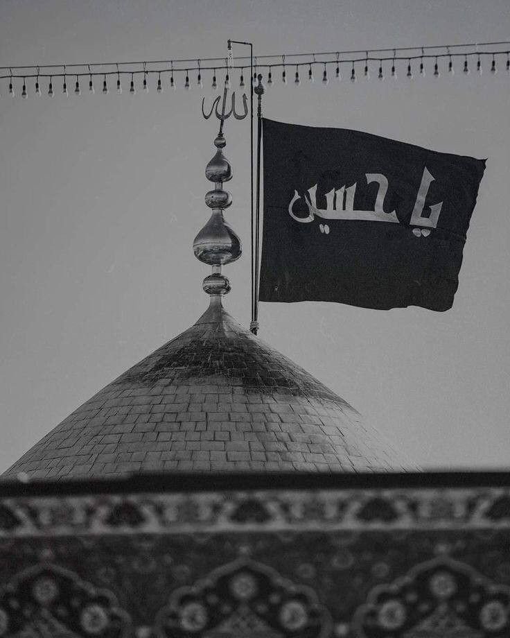 زهراء محسن tweet media