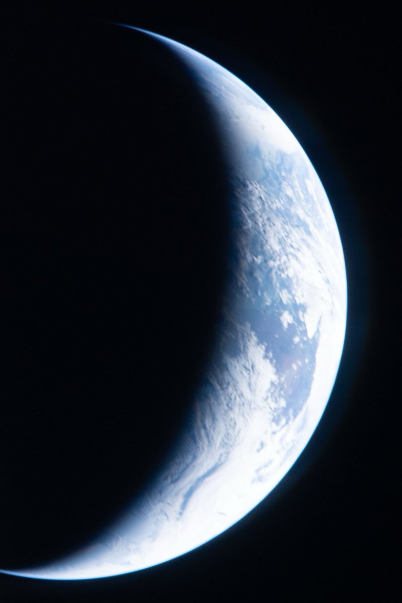 Saganism tweet media