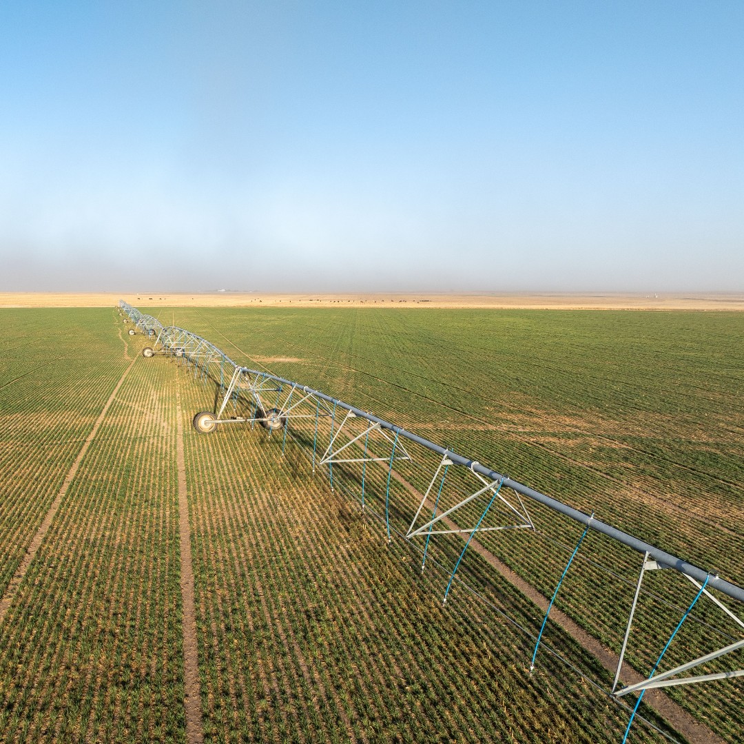 The Land Report tweet media