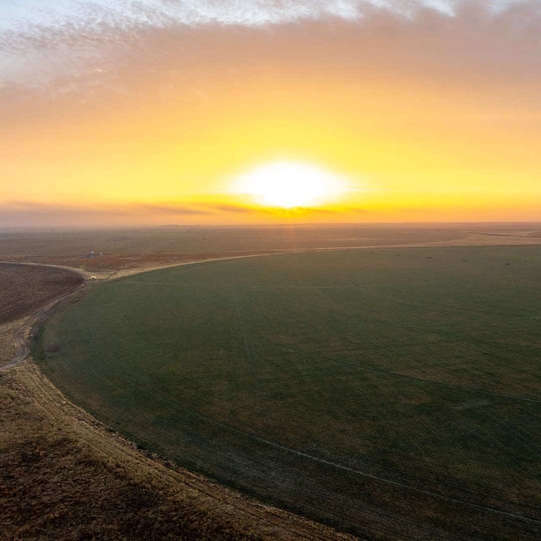 The Land Report tweet media