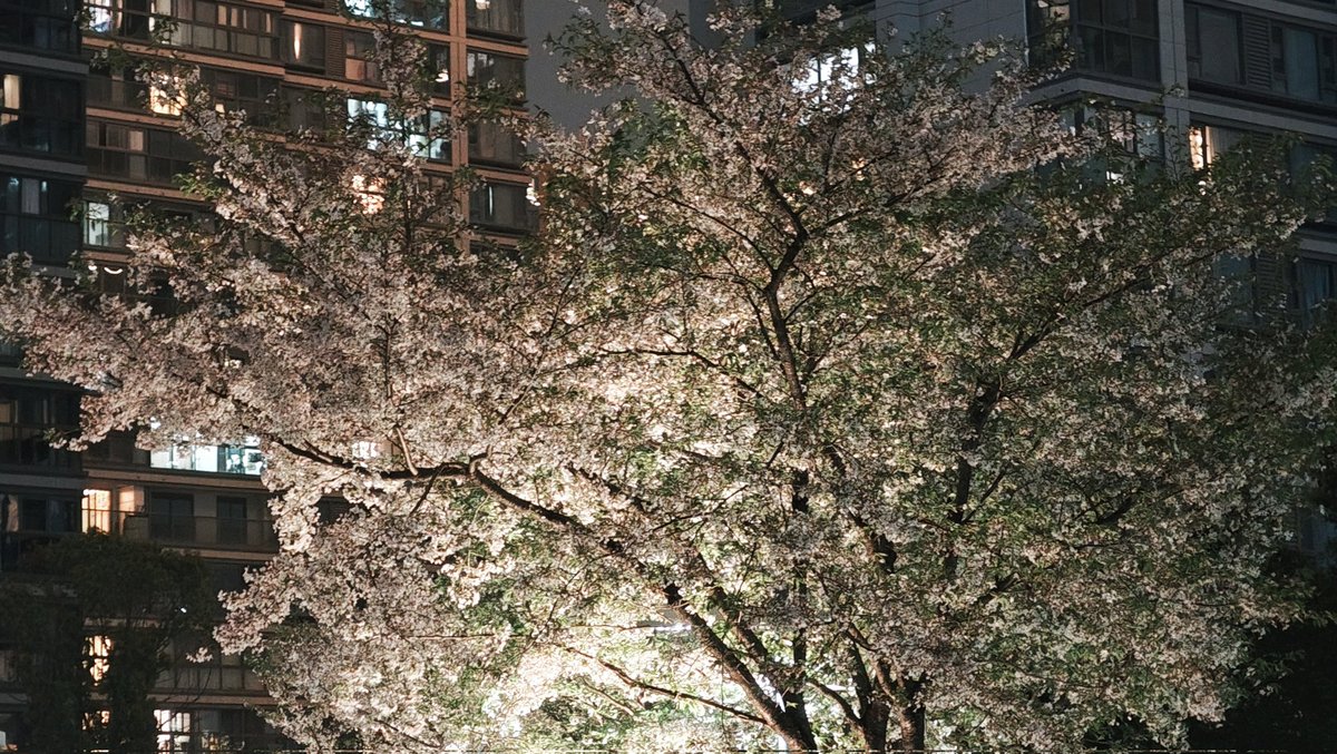 等我挣到钱吃泡面我要加两根肠 tweet media