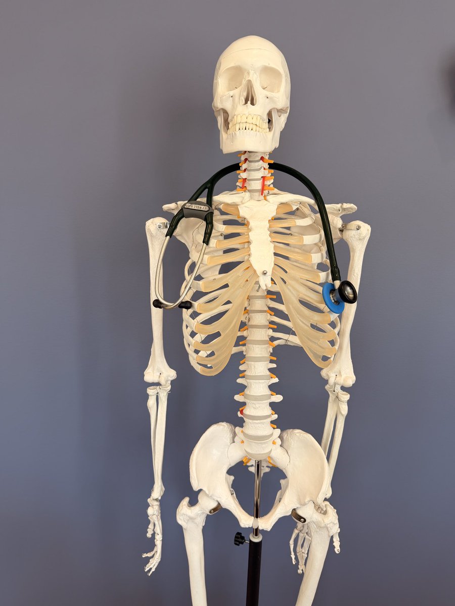 Noah Kaufman, MD tweet media