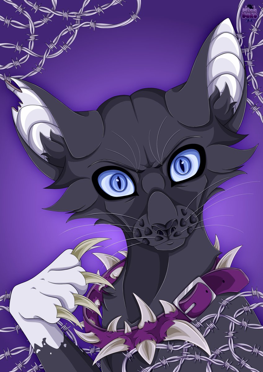 🦊 Miss Dako 🦊 tweet media