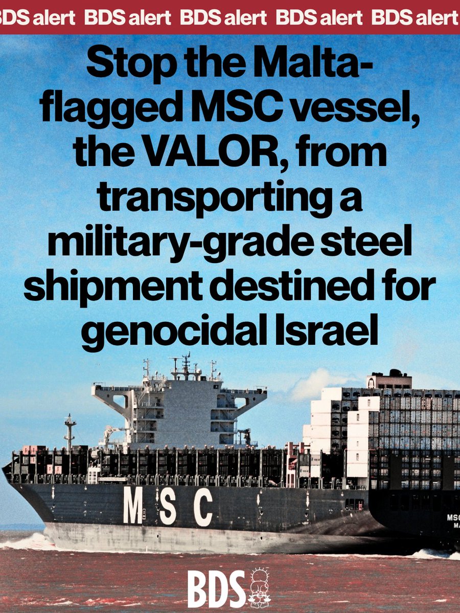 BDS movement tweet media