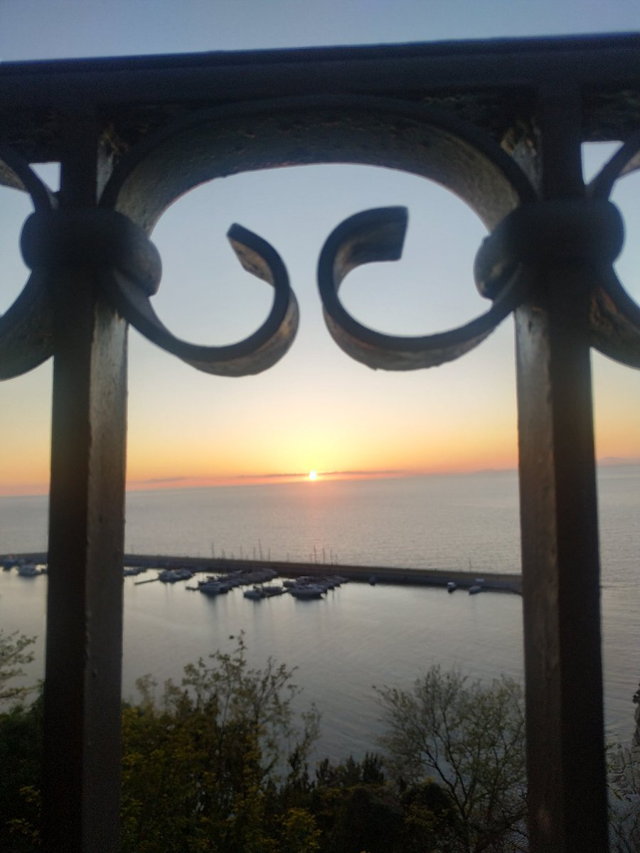 La gatta rossa tweet media