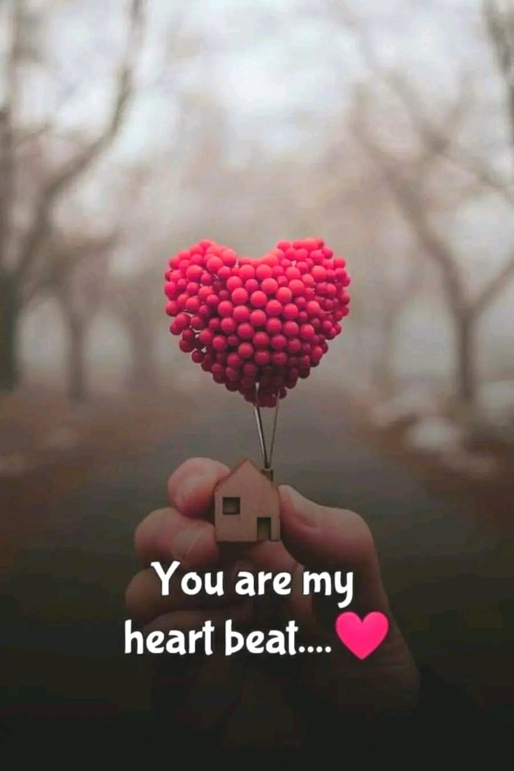 Roses 🌹 tweet media