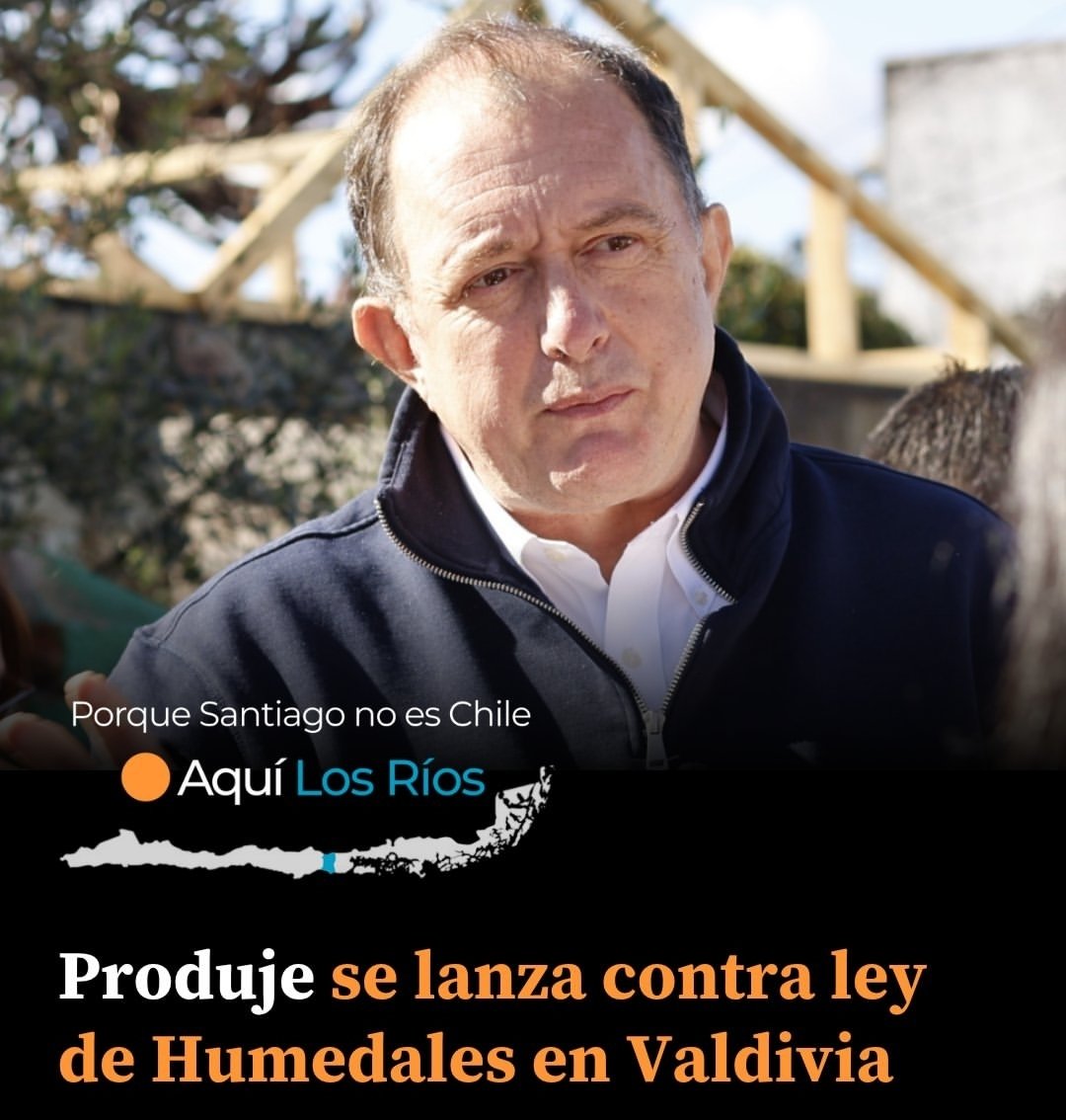 #Periodista tweet media