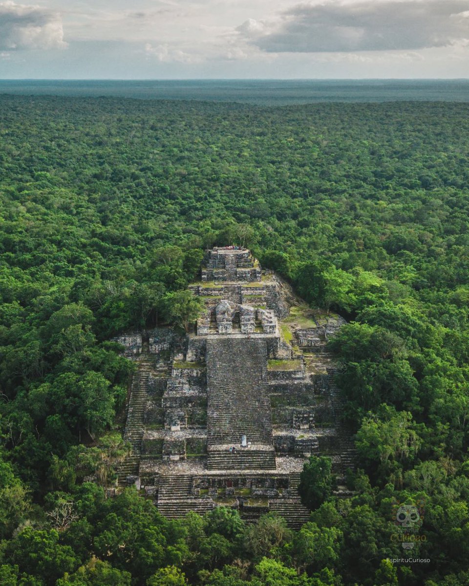 ¿Sabías que existe una ciudad maya tan poderosa que literalmente quedó escondida durante siglos dentro de la selva más grande de México?

Así es Calakmul, una de las zonas arqueológicas más impresionantes y menos visitadas del país, ubicada al sur de Campeche, dentro de la