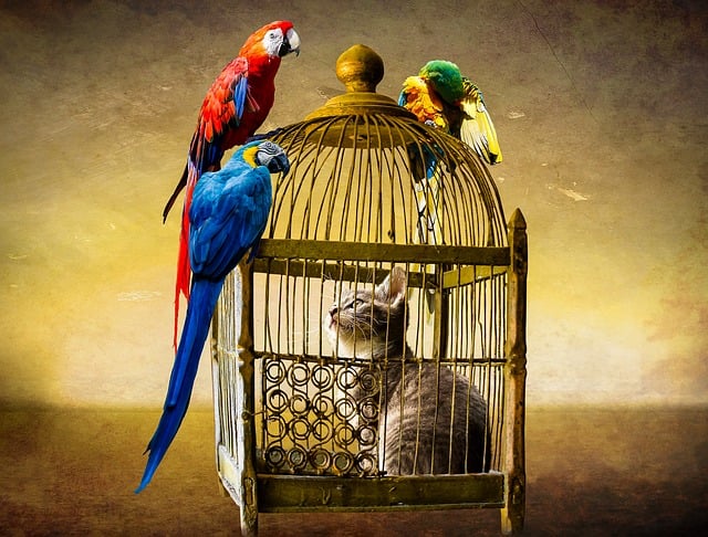 Christine Piens tweet media
