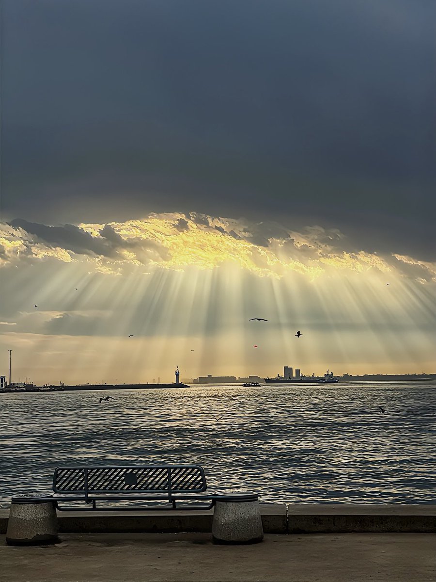 Buse 🪩 tweet media