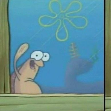 sitara ☾ tweet media