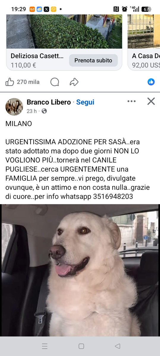 URGENTE: RINUNCIA a SASA' . È A MILANO TORNERÀ IN PUGLIA. QUALCUNO CHE LO AIUTI PER FAVORE? 3516948203 facebook.com/share/p/1B3kYD…