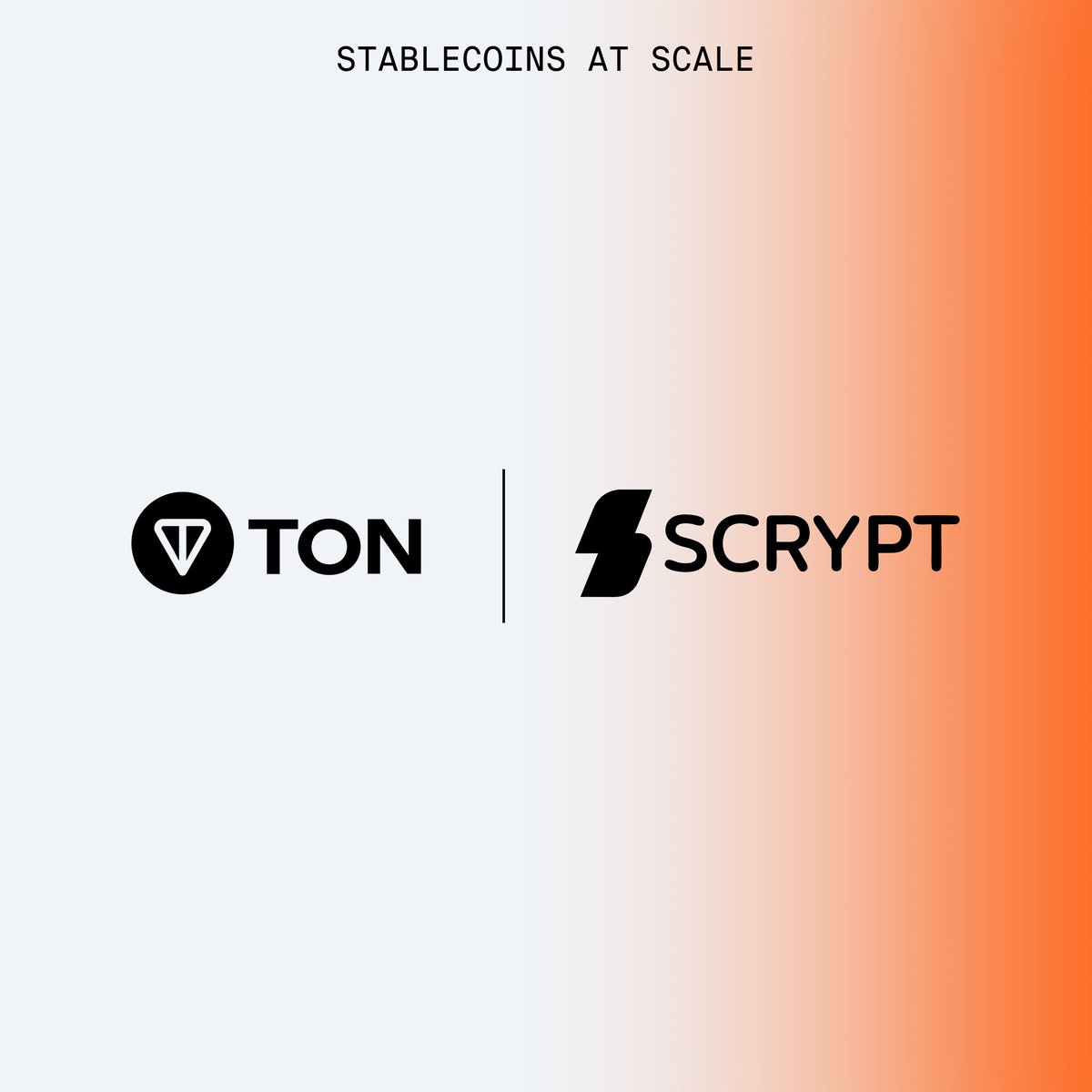 TON 💎 tweet media