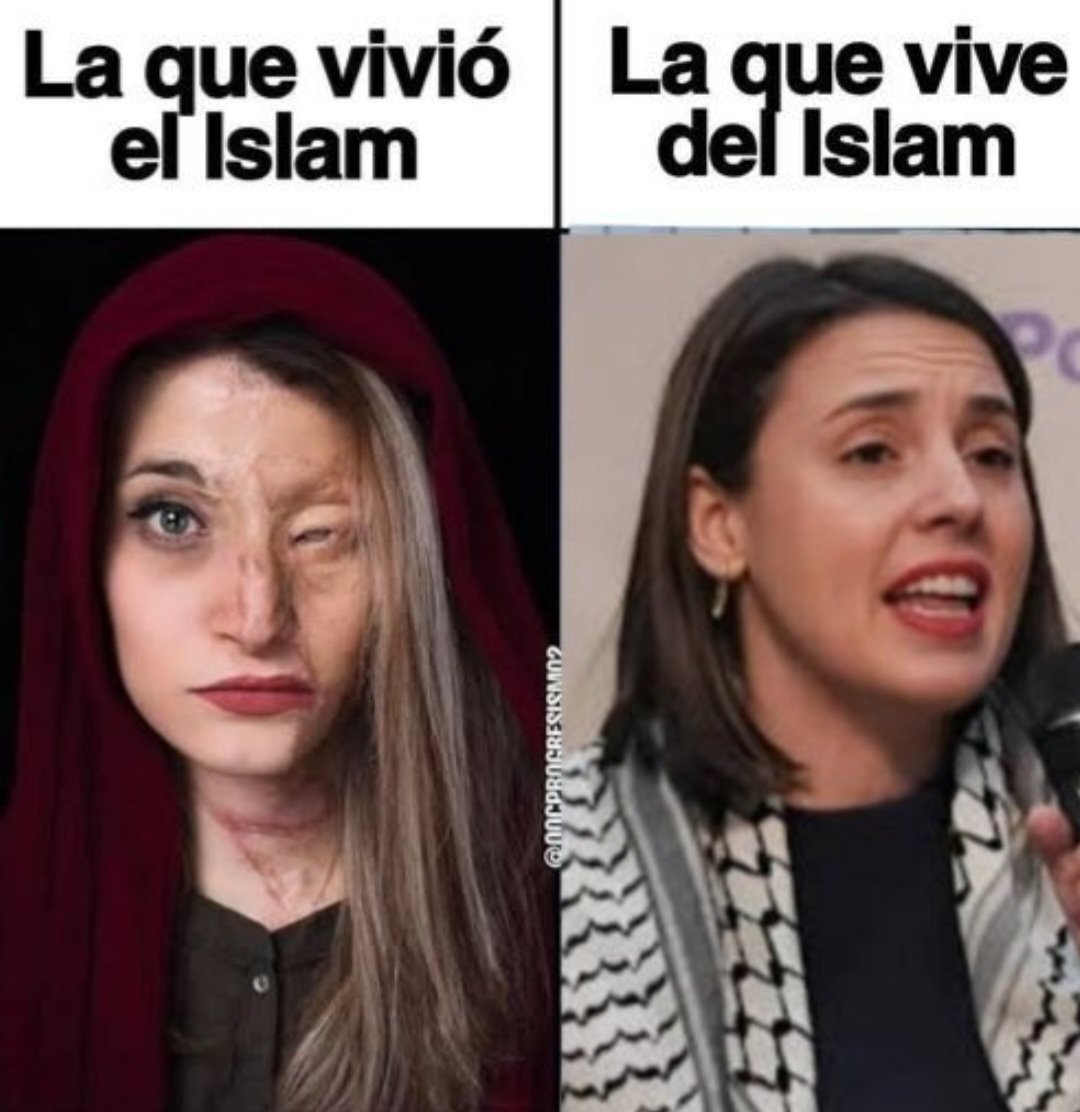 The Elder tweet media