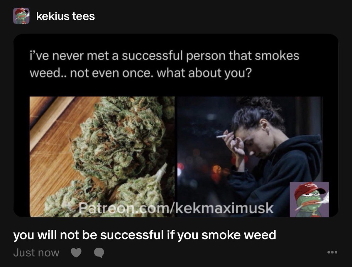 TheLizVariant tweet media