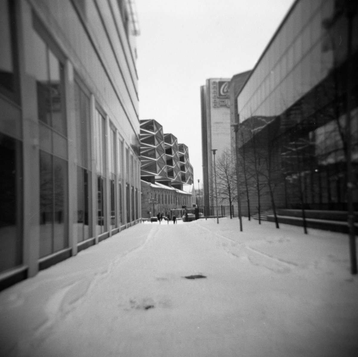 ‘A Norwegian Tourist’ by Lasse Tur tweet media