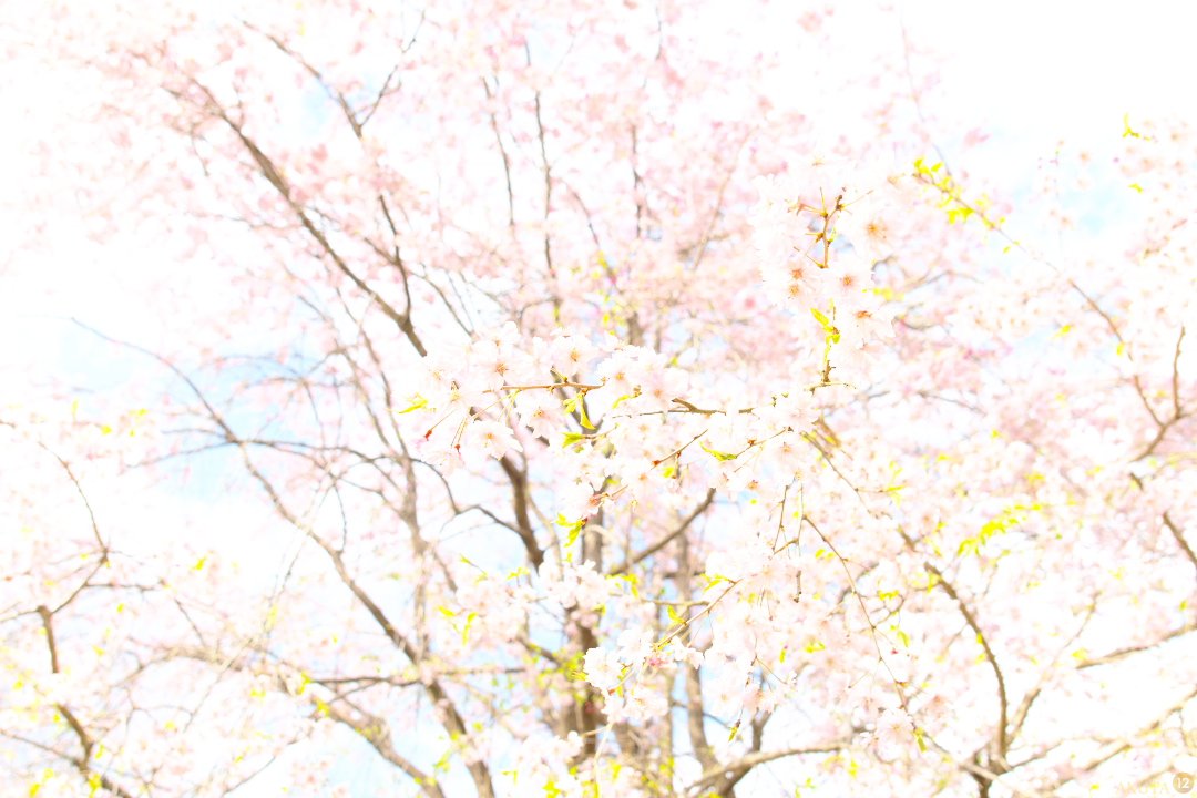 あくた tweet media