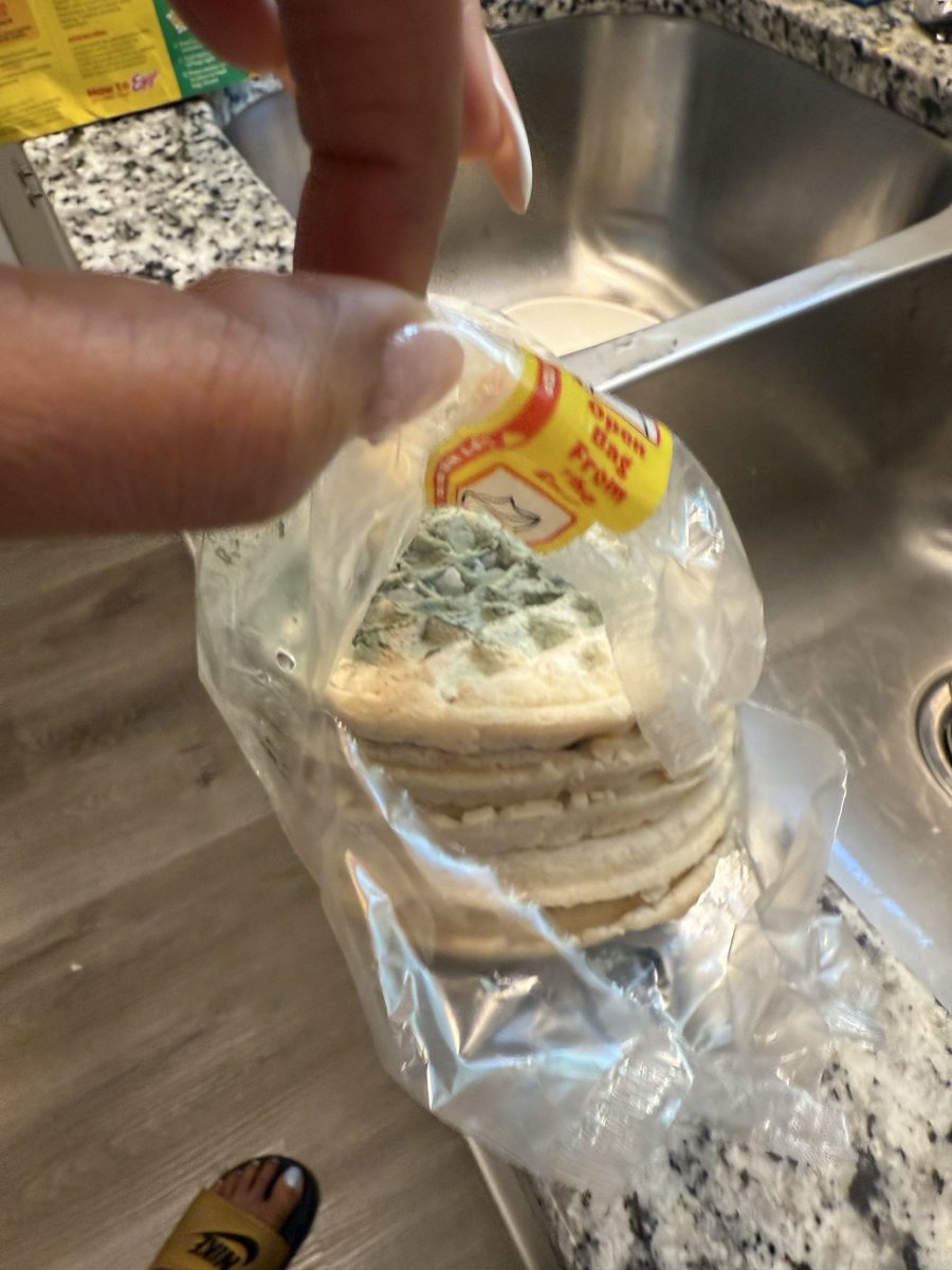 Elle Presidente tweet media