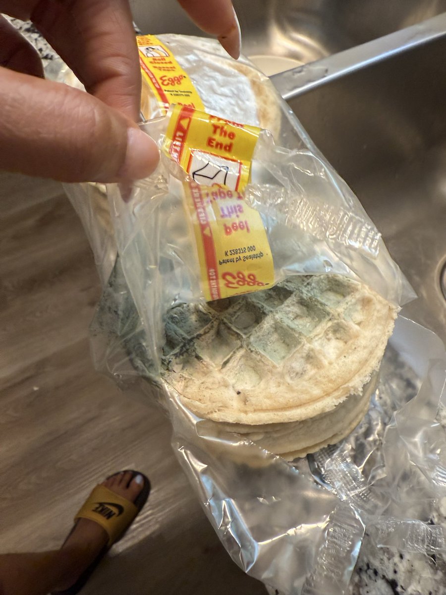 Elle Presidente tweet media