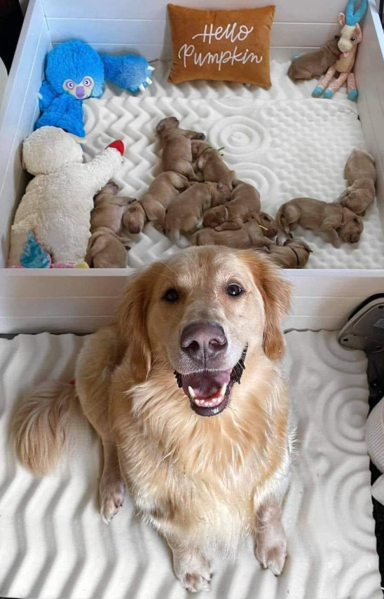 Just one happy mom 😍💕On a scale from 1 - 10 how beautiful is this photo?