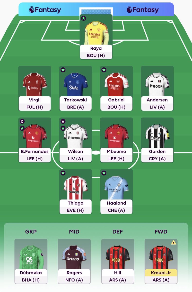 FilipMeklin's tweet photo. @FPL_Harry 3 ft, 0,3 itb, wc/bb/fh left https://t.co/4uD572dcpr