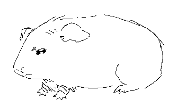 riel 🐦⬛ tweet media