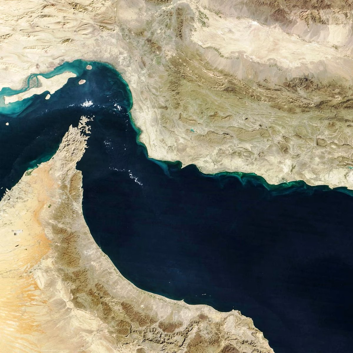 Mario Nawfal tweet media