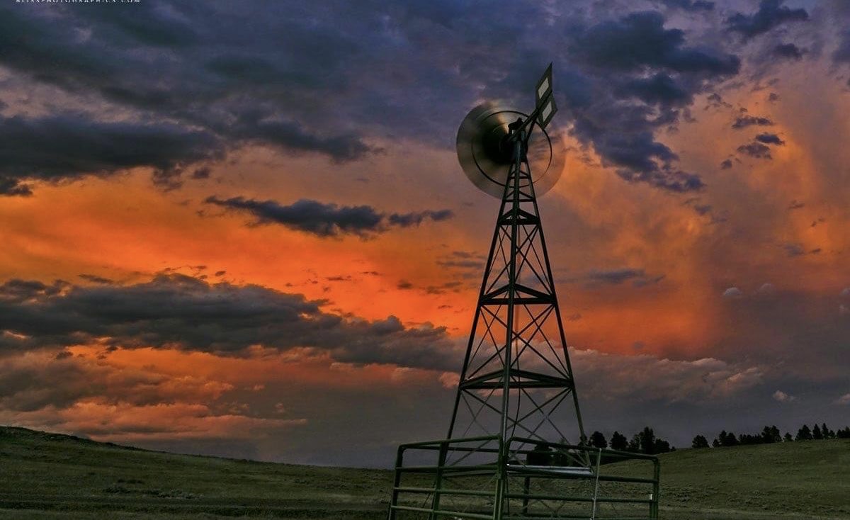 Jeff Smith tweet media