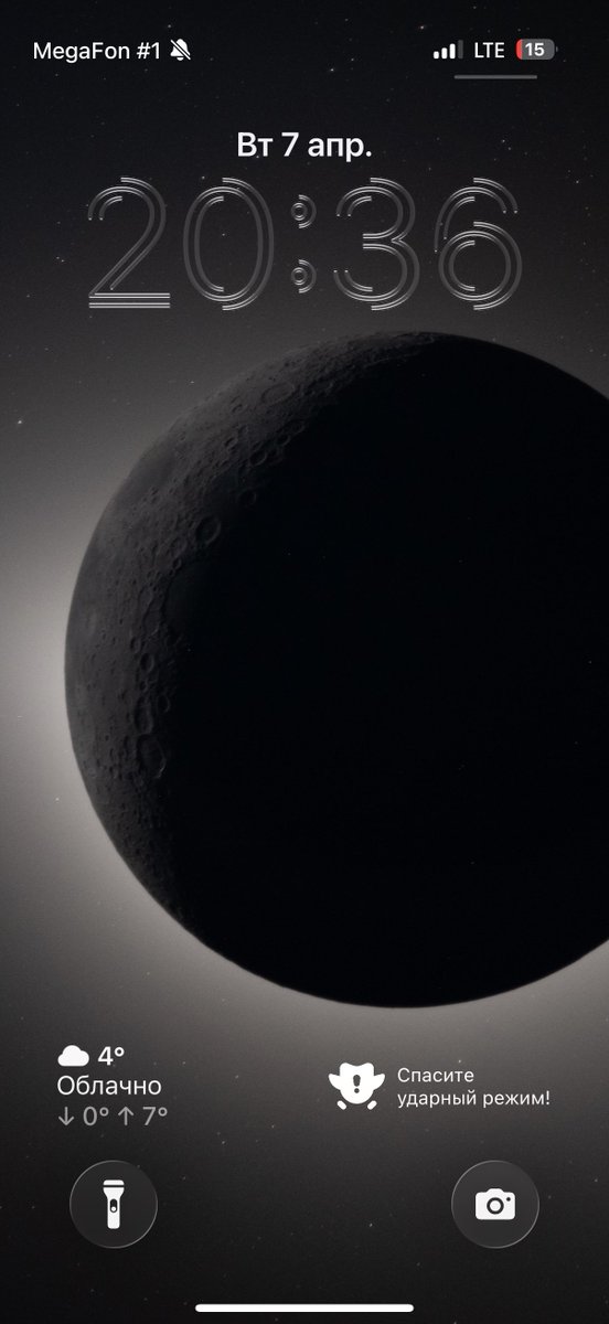 matroskina tweet media