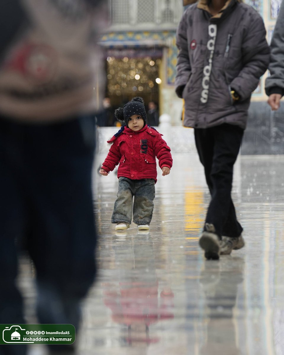 العتبة الرضوية المقدسة tweet media