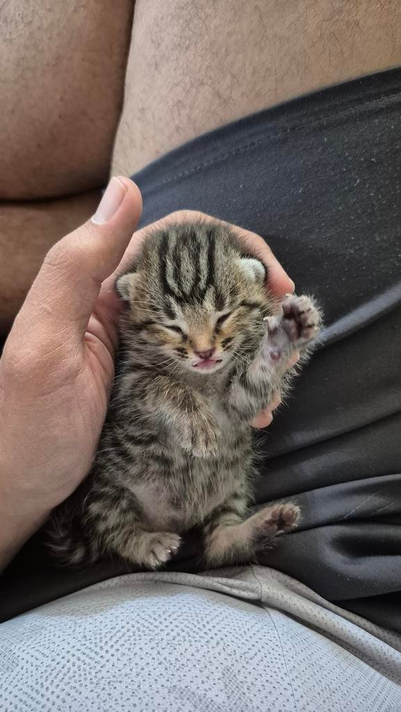 Uncle Ney tweet media