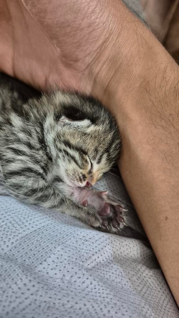 Uncle Ney tweet media