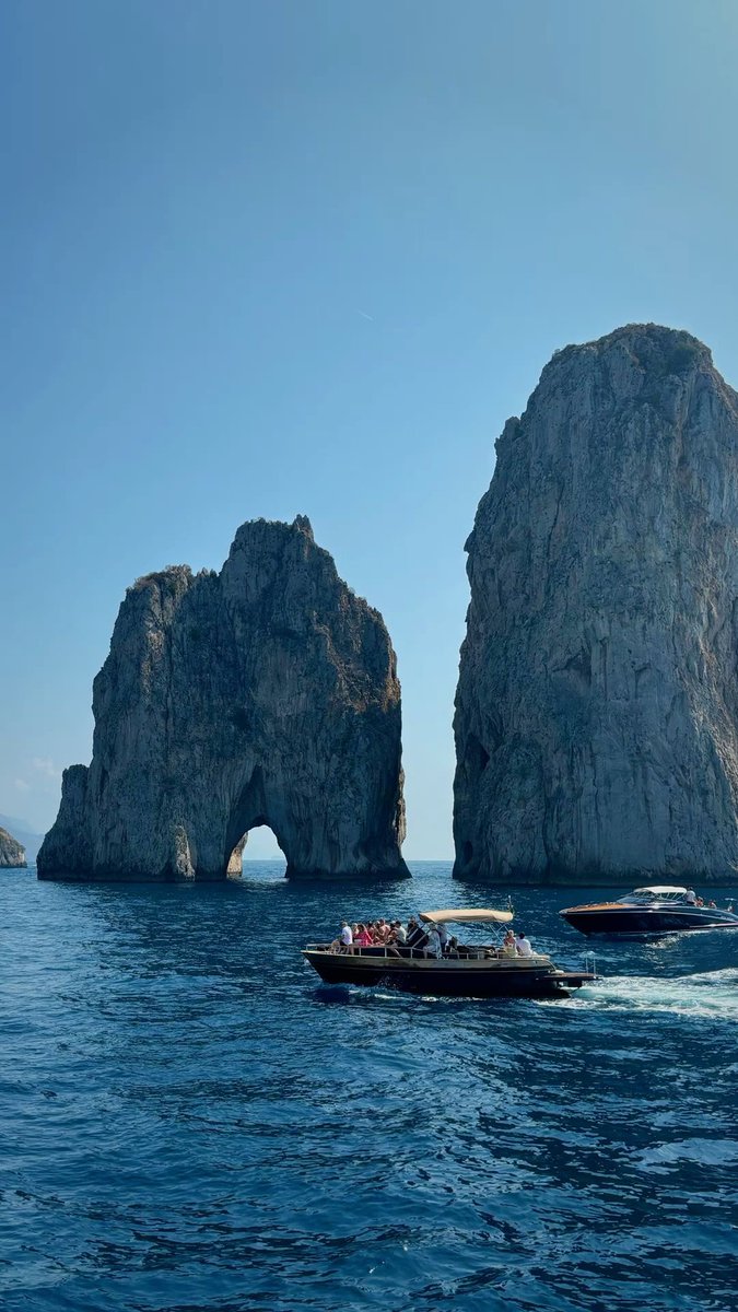 vistaaura tweet media