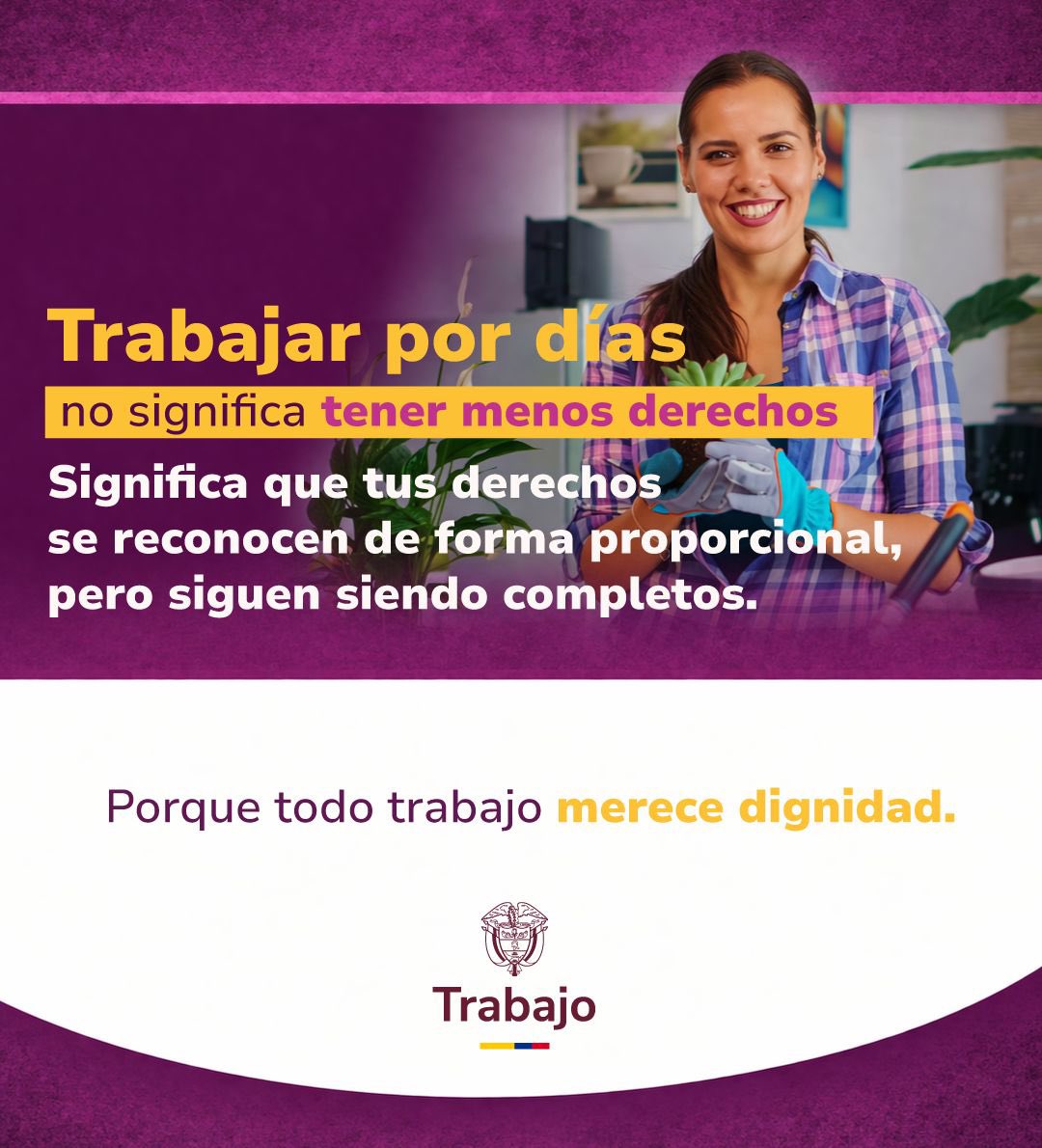 MinTrabajo tweet media