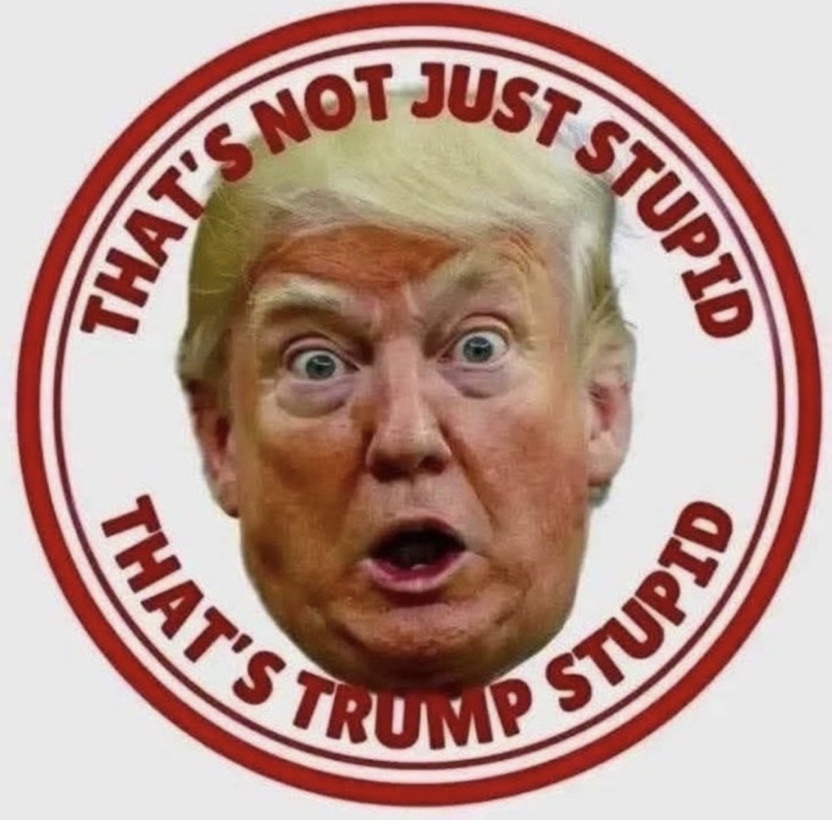 RobertsonUFC's tweet photo. @wino911 @MrImranPk @POTUS https://t.co/0ciGPmGcZn