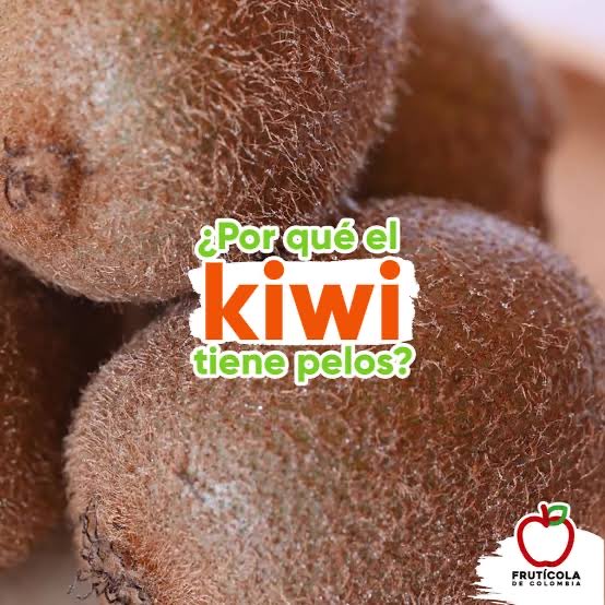 Alfredo S. tweet media